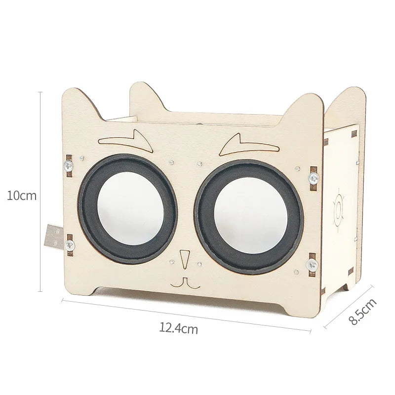 DIY HiFi Voice Box Music Player Science Kit
