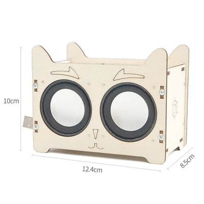 DIY HiFi Voice Box Music Player Science Kit