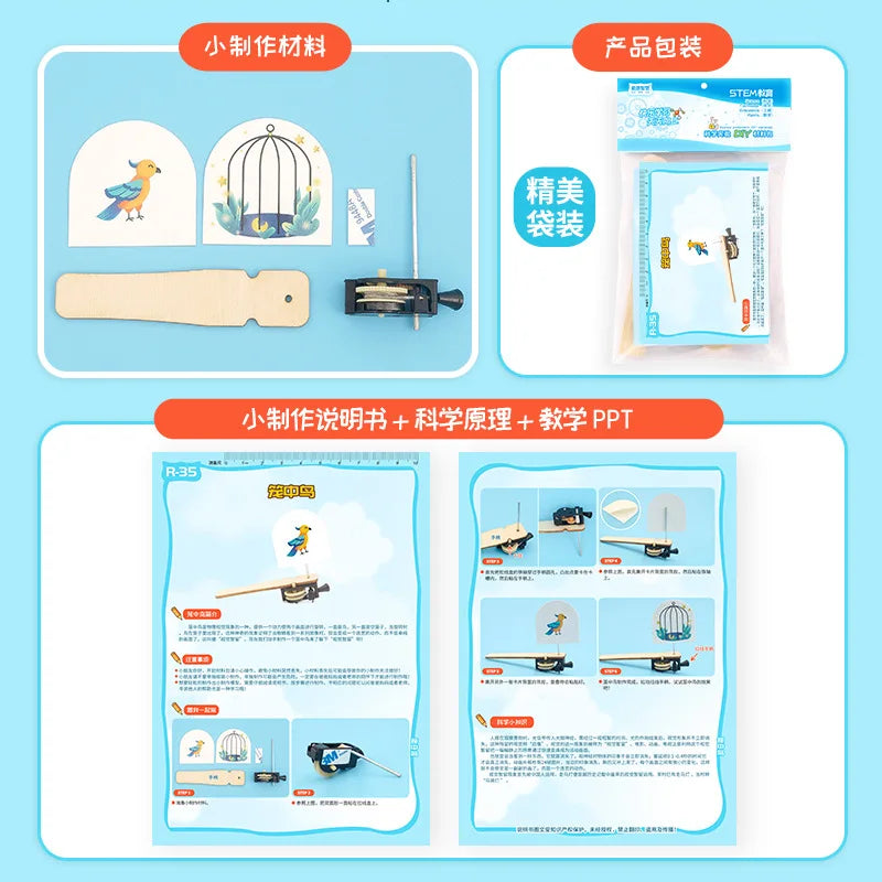 DIY Caged Bird STEM Model
