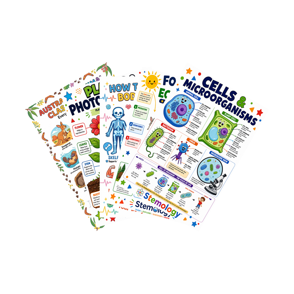 Life Science Educational Poster Bundle — 5-Pack Digital Download